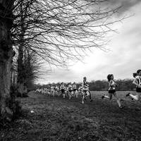 2017 Met League - Trent Park 2