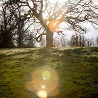 2017 Met League - Trent Park 124