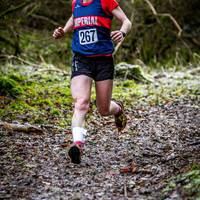 2017 Box Hill Fell Race 212
