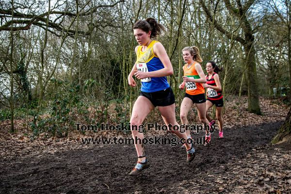 2017 Southern XC Champs - Juniors 3