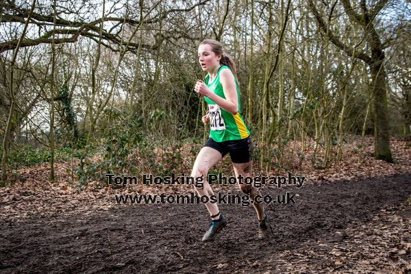 2017 Southern XC Champs - Juniors 4