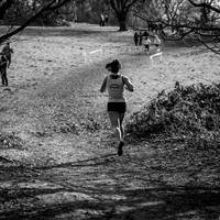 2017 Southern XC Champs - Juniors 55