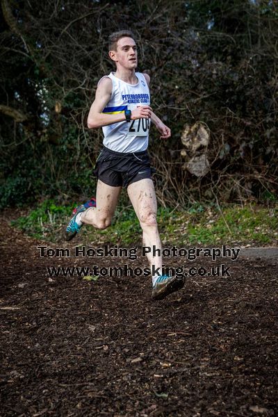 2017 Southern XC Champs - Juniors 112
