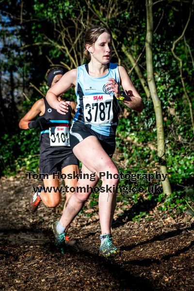 2017 Southern XC Champs - Women 62
