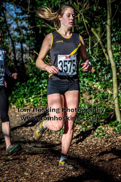 2017 Southern XC Champs - Women 73