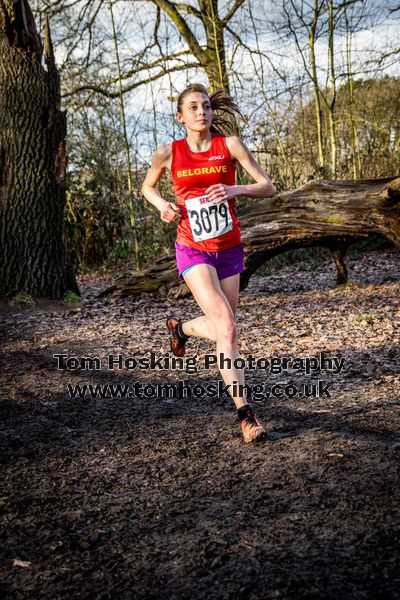 2017 Southern XC Champs - Women 157