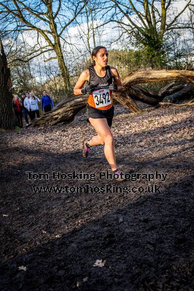 2017 Southern XC Champs - Women 208
