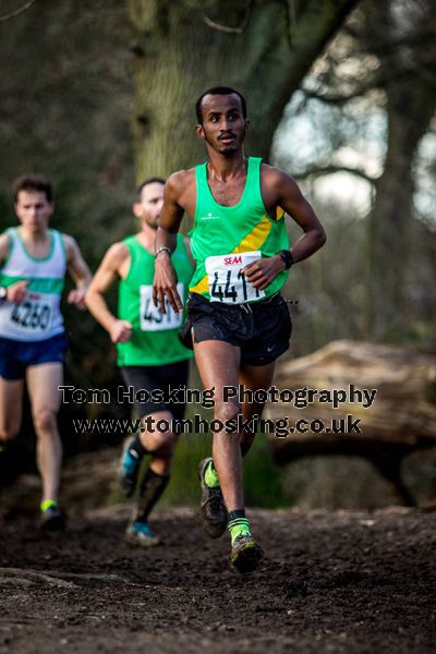 2017 Southern XC Champs - Men 290