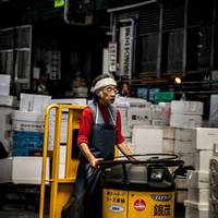 2017 Japan 15