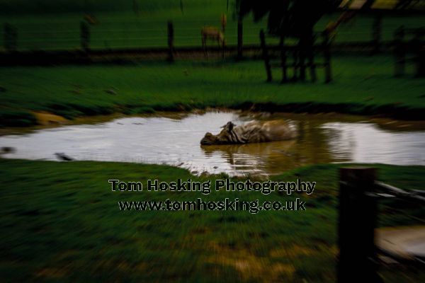 2017 ZSL Whipsnade Workshop 15