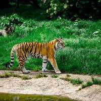 2017 ZSL Whipsnade Workshop 16