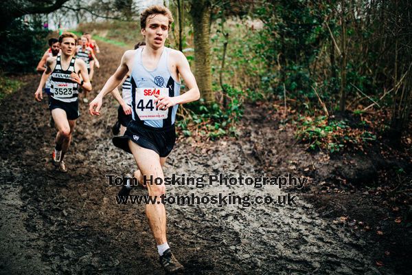 2019 Southern XC Champs - Men 261